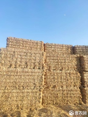 一級(jí)小麥秸稈在牲畜飼養(yǎng)中的高效利用策略